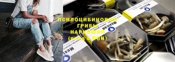 ешки Пересвет