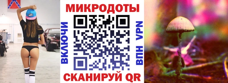 Купить закладки  Северобайкальск  Псилоцибиновые грибы ЛСД 